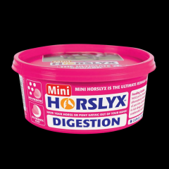 Derby Horslyx DIGESTION