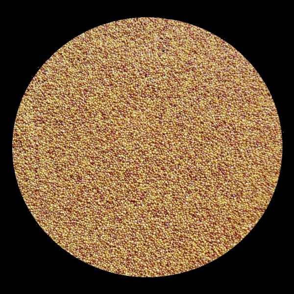 Weissklee Huia 900 g