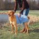 Trixie Handtuch, PVA 66 × 43 cm, blau
