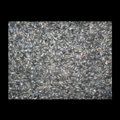 Sonnenblumenkerne schwarz