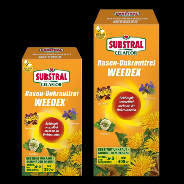 Substral Celaflor Rasen-Unkrautfrei Weedex