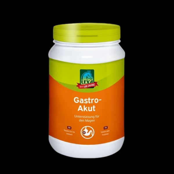 Lexa Gastro-Akut 1 kg